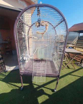 Pappagalliera pratica e decorativa 80x61x156,5 cm