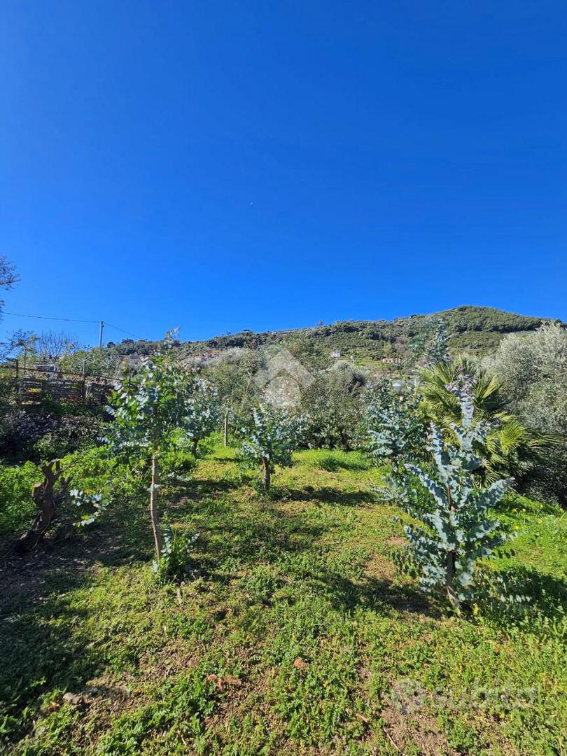 TER. AGRICOLO A TAGGIA - Vista 3