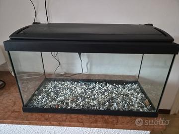 2 ACQUARI SENZA ACCESSORI