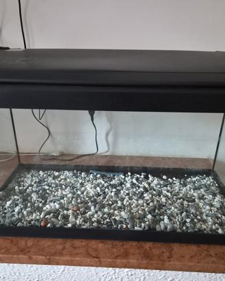 2 ACQUARI SENZA ACCESSORI
