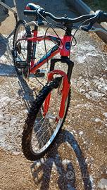  bici mtb