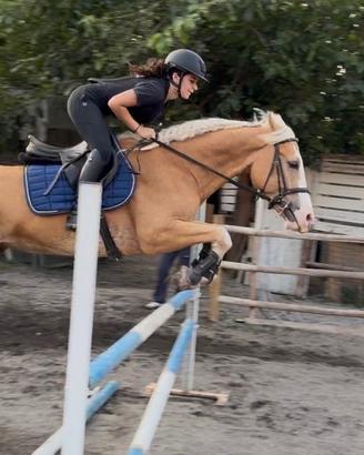 Cavallo da Salto