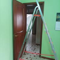 Scala in alluminio 240cm