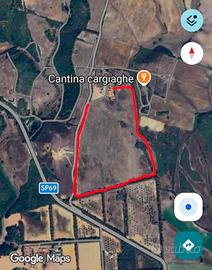 Terreno con appartamento