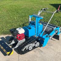 Puliscispiaggia usata baby tapiro 100