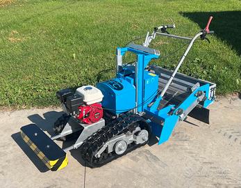 Puliscispiaggia usata baby tapiro 100