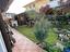 Immagine 20