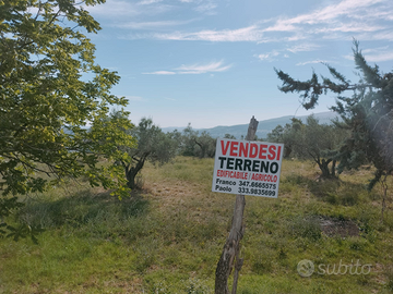 Vendita terreno edificabile ed agricolo