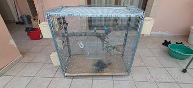 gabbia per uccelli 