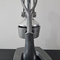 Spremiagrumi professionale a leva