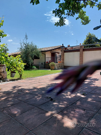 Relax con Piscina tra Ulivi e Mare - Casa Vacanze