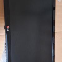 monitor pc LG 22 pollici 