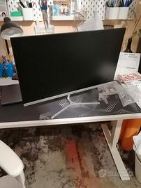 Schermo PC Ioplee 24''