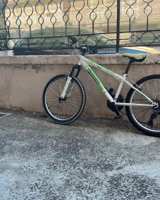 bicicletta Lombardo