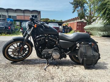 Harley Davidson 883 iron