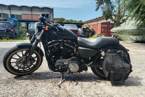 Harley Davidson 883 iron