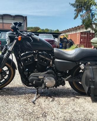 Harley Davidson 883 iron