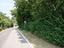 Immagine 22