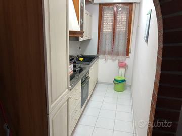 Donoratico Toscana aprile maggio 250 settimana