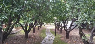 Bilocale nel verde e vicino al mare - Diano Marina