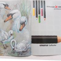 MATITE COLORATE PER DISEGNO PROFESSIONALE