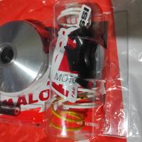 variatore Malossi Sh 125