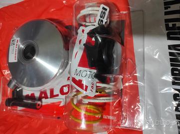 variatore Malossi Sh 125