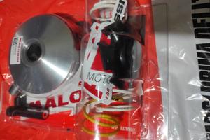 variatore Malossi Sh 125