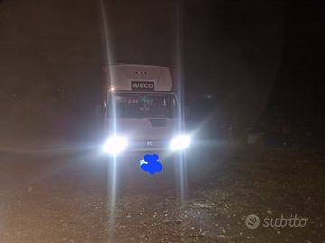 Trasporto animali vivi