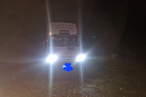 Trasporto animali vivi