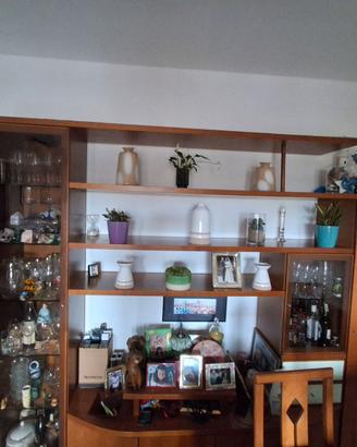 Dono .....Mobile biblioteca