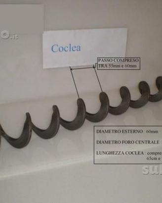 Coclea per caldaie a nocciolino, pellet (biomasse)