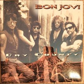 Bon Jovi-Dry Country(1994)