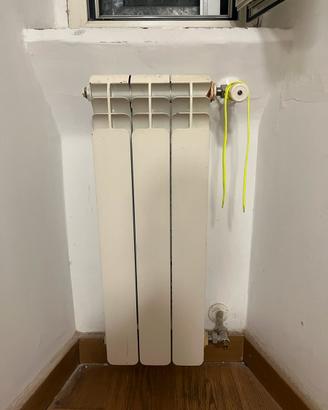 9 termosifoni in alluminio varie dims; 400€ il set