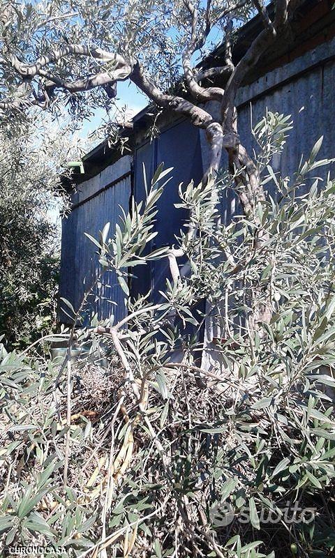 Scaletta superiore ampio terreno con fabbricato - Altro