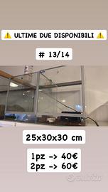 13/14.Due Teche/Terrari in vetro x rettili/insetti