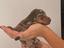 Immagine 3