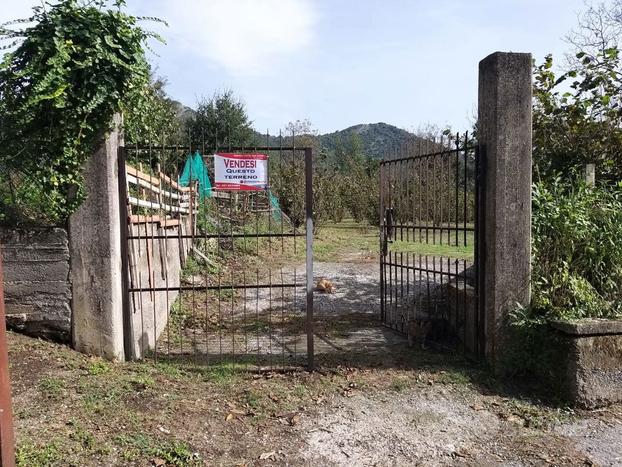 Terreno Agricolo Castel San Giorgio