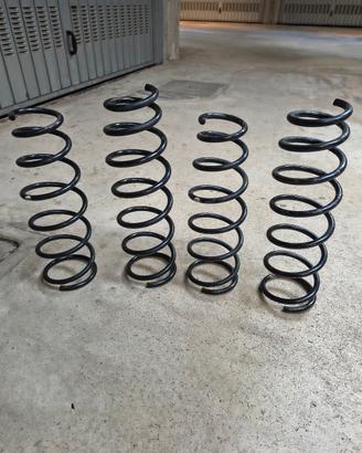 molle ammortizzatori 