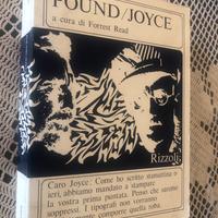 Read epistolario Ezra Pound - Joyce Rizzoli 1969