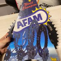 Afam 46 denti corona nera