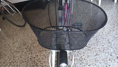 bici ragazza raggio 24