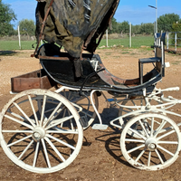Carrozza