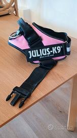 Collare Julius-K9
