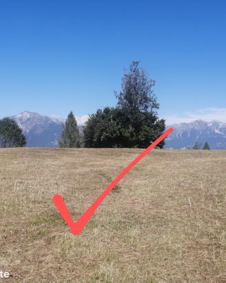 Terreno fabbricabile