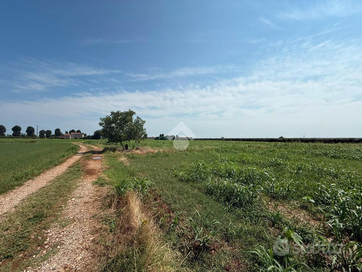 TER. AGRICOLO A ROVERBELLA - Vista 4