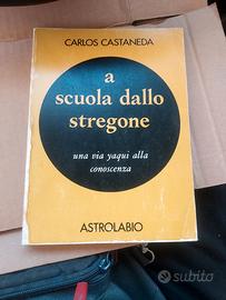 Castaneda A scuola con lo stregone libro