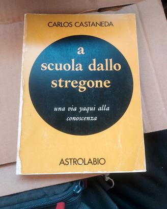 Castaneda A scuola con lo stregone libro