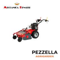 Trinciasarmenti tr 600 meccanica benassi