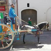 Traino (carrozza)